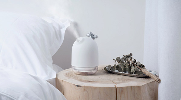 5c81ea590487a.jpg 5c81ea590487a.jpg