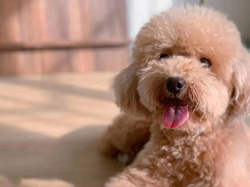 63ec89187d893.jpg 63ec89187d893.jpg